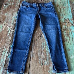 Banana Republic Dark Blue Skinny Jeans